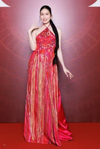 Miss Universe India and Vietnamese Stars Shine on the Glamorous Red Carpet Event - image 0