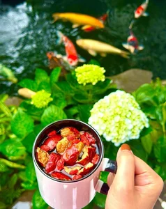 Inside a Floral Paradise: Exploring the Luxurious Villa and Stunning Gardens of a Famous Star - image 0