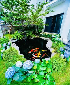 Inside a Floral Paradise: Exploring the Luxurious Villa and Stunning Gardens of a Famous Star - image 9