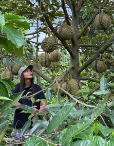 Miss Universe Vietnam H’Hen Niê Embraces Peaceful Motherhood Journey in Her Rural Hometown - image 2