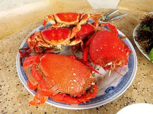 9 Must-Try Delicacies on Ly Son Island for Your April 30th Trip - image 1