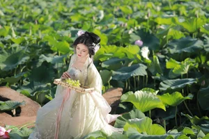 YiTuYu Art Language Vol.4687 Featuring Wu Sui: A Study in Modern Aesthetics - image 11