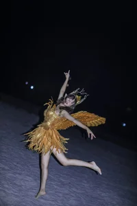 Modern Aesthetics in YiTuYu Art Language Vol.5612 G_jxxx - image 14
