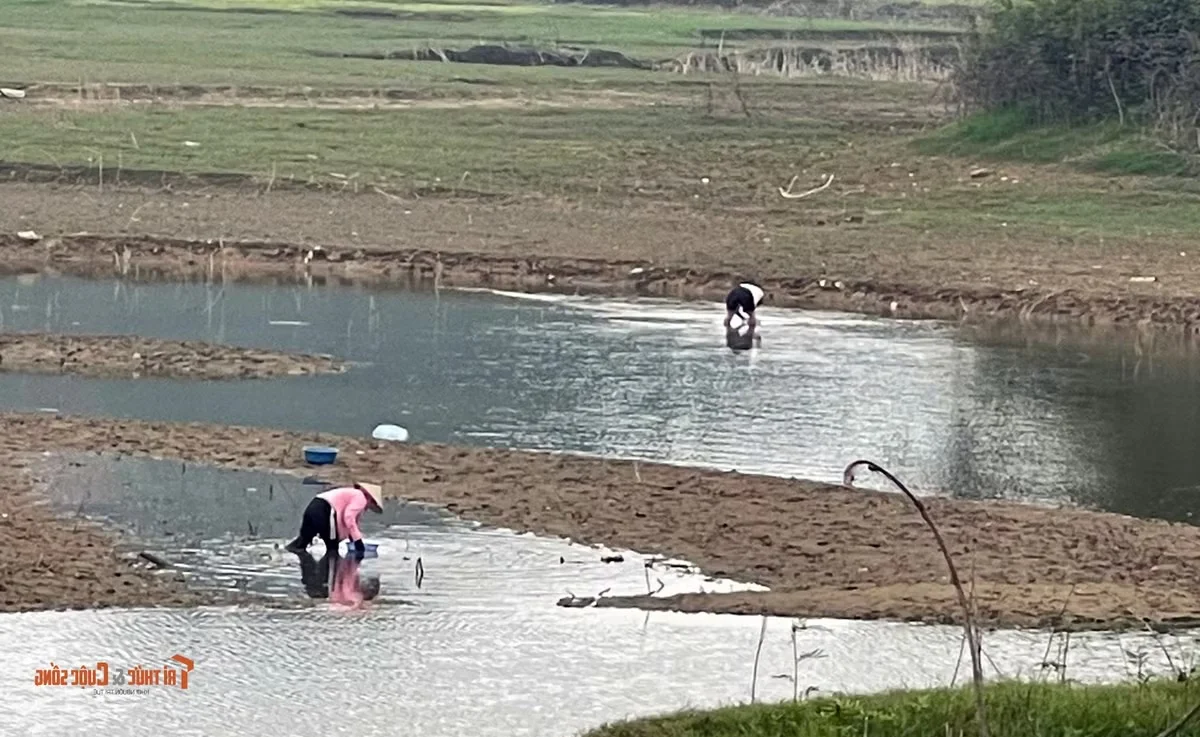 The Peaceful Recovery and Scenic Beauty of Thac Ba Lake in Vietnam
