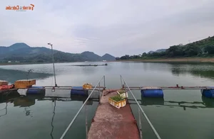 The Peaceful Recovery and Scenic Beauty of Thac Ba Lake in Vietnam - image 15