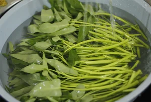 World-Class Vietnamese Stir-Fry: 5 Dishes Recognized Globally for Excellence - image 1