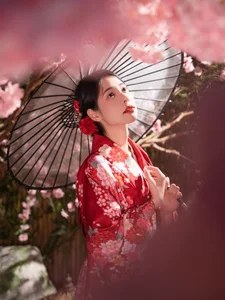 YiTuYu Art Language Vol.6608: A Visual Study of Dan Dan - image 21