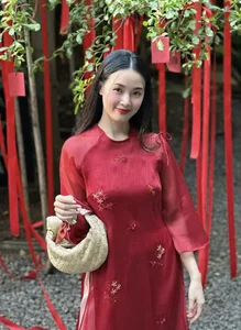 Vietnamese Icons: Celebrating Beauty, Intelligence, and Global Impact - image 5