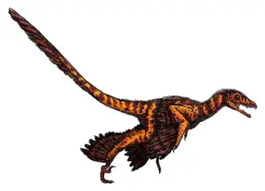 Ancient Creatures Discover Sinornithosaurus Venomous Feathered Dinosaur Mystery - image 2