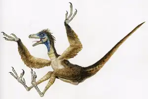 Ancient Creatures Discover Sinornithosaurus Venomous Feathered Dinosaur Mystery - image 0