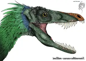 Ancient Creatures Discover Sinornithosaurus Venomous Feathered Dinosaur Mystery - image 1