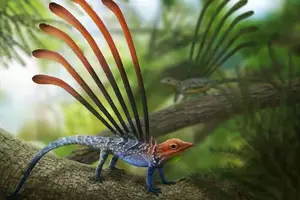 Longisquama: 230-Million-Year-Old Ancient Reptile Igniting Debate on Unique Spines and Evolution - image 4
