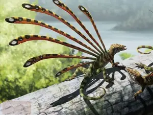 Longisquama: 230-Million-Year-Old Ancient Reptile Igniting Debate on Unique Spines and Evolution - image 1