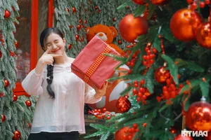 Enchanting Christmas Decorations at a Ho Chi Minh City Cafe Attract Hundreds of Daily Visitors - image 2