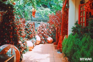 Enchanting Christmas Decorations at a Ho Chi Minh City Cafe Attract Hundreds of Daily Visitors - image 1