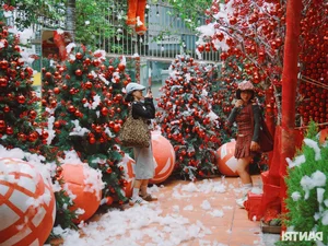 Enchanting Christmas Decorations at a Ho Chi Minh City Cafe Attract Hundreds of Daily Visitors - image 0