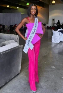 Ky Duyen and Global Beauties Dazzle at the Miss Universe Competition - image 12