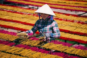 Exploring the Heritage Incense Village in Tay Ninh: A Cultural Treasure of Vietnam - image 5