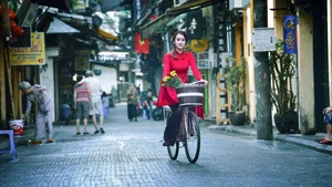 Le Vu Quynh Tram Celebrates Lunar New Year in Elegant Traditional Ao Dai - image 17