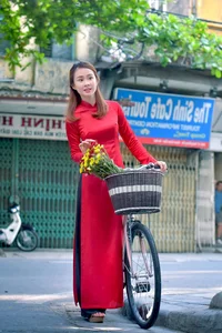Le Vu Quynh Tram Celebrates Lunar New Year in Elegant Traditional Ao Dai - image 11