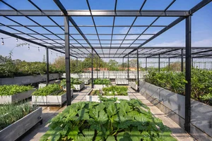 Exploring the Breathtaking Green Villa in Bac Giang: Innovation Meets Traditional Vietnamese Inspiration - image 6