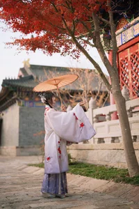 YiTuYu Art Language Vol.4384 Featuring Tu Zi Zzz Bu Chi Hu Luo Bo - image 30
