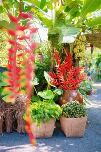 Rustic Charm: Creative Wedding Decor Using Traditional Rice Granaries, Water Jars, and Banana Trees - image 3