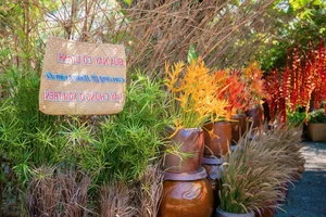 Rustic Charm: Creative Wedding Decor Using Traditional Rice Granaries, Water Jars, and Banana Trees - image 8