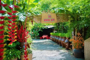 Rustic Charm: Creative Wedding Decor Using Traditional Rice Granaries, Water Jars, and Banana Trees - image 2