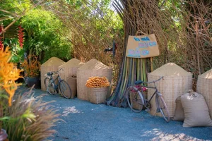 Rustic Charm: Creative Wedding Decor Using Traditional Rice Granaries, Water Jars, and Banana Trees - image 6
