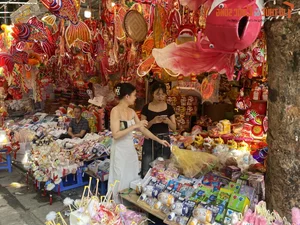 Luxury Lighting Transformations: The 300 Million VND Decorative Marvel on Hang Ma Street - image 4