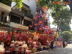 Luxury Lighting Transformations: The 300 Million VND Decorative Marvel on Hang Ma Street - image 16
