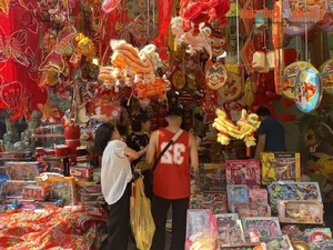 Luxury Lighting Transformations: The 300 Million VND Decorative Marvel on Hang Ma Street - image 3