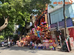 Luxury Lighting Transformations: The 300 Million VND Decorative Marvel on Hang Ma Street - image 2