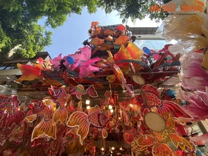Luxury Lighting Transformations: The 300 Million VND Decorative Marvel on Hang Ma Street - image 0
