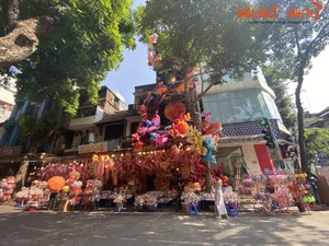 Luxury Lighting Transformations: The 300 Million VND Decorative Marvel on Hang Ma Street - image 9