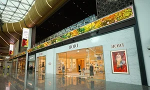 Inside Singapore Changi: Exploring the World's Best Airport and Its Iconic Architecture - image 6