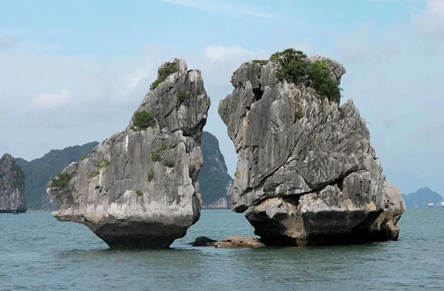 Ha Long Bay 2024: The Complete Guide to Vietnam's UNESCO World Heritage Site