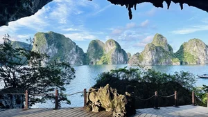 Ha Long Bay 2024: The Complete Guide to Vietnam's UNESCO World Heritage Site - image 5