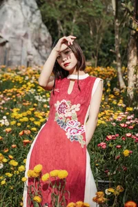 The Rising Tay Ethnic Beauty: Breaking Petite Modeling Stereotypes in VTV Dramas - image 4