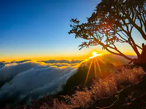 Nhu Co San Sunset: Conquer Majestic Sea of Clouds in Northwest Vietnam - image 9