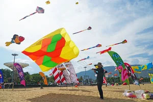 Experience the Magic of Kite Flying on the Pristine Beaches of Quy Nhon - image 9