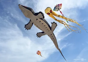 Experience the Magic of Kite Flying on the Pristine Beaches of Quy Nhon - image 5