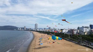 Experience the Magic of Kite Flying on the Pristine Beaches of Quy Nhon - image 10