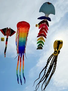 Experience the Magic of Kite Flying on the Pristine Beaches of Quy Nhon - image 8