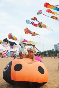 Experience the Magic of Kite Flying on the Pristine Beaches of Quy Nhon - image 4