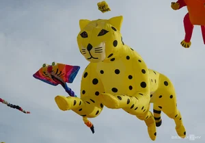 Experience the Magic of Kite Flying on the Pristine Beaches of Quy Nhon - image 0