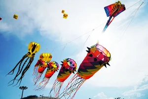 Experience the Magic of Kite Flying on the Pristine Beaches of Quy Nhon - image 3