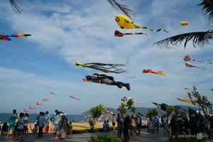 Experience the Magic of Kite Flying on the Pristine Beaches of Quy Nhon - image 7
