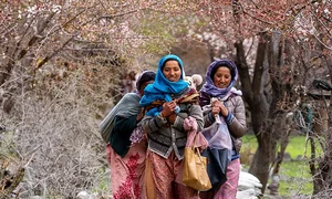 Hunting Apricot Blossoms: Vietnamese Travelers Discover the Magic of Indian Villages - image 3